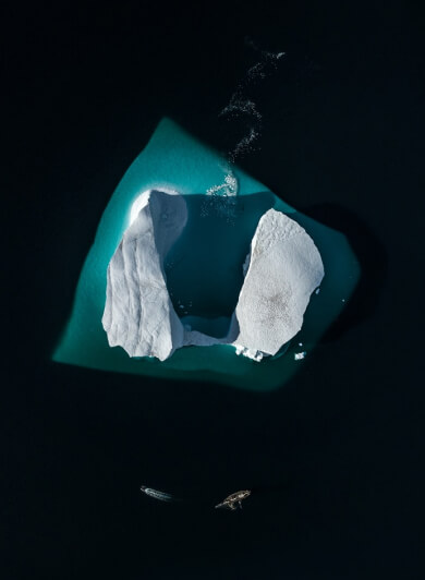 portfolio-8